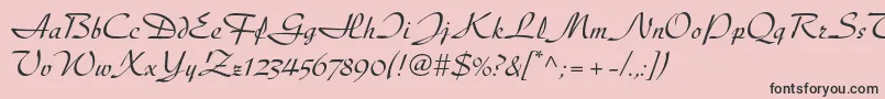Diskusltstd Font – Black Fonts on Pink Background