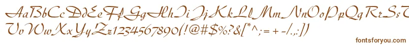 Diskusltstd Font – Brown Fonts on White Background