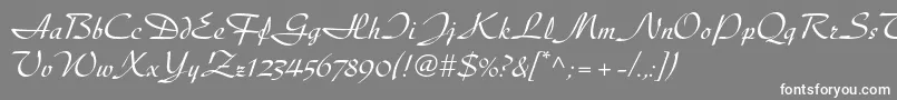Diskusltstd Font – White Fonts on Gray Background