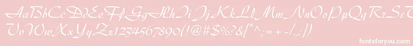 Diskusltstd Font – White Fonts on Pink Background