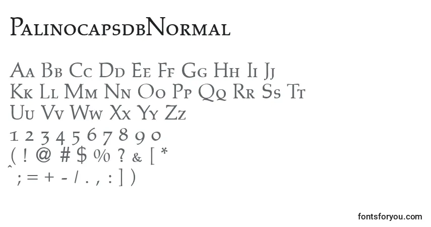 Czcionka PalinocapsdbNormal – alfabet, cyfry, specjalne znaki