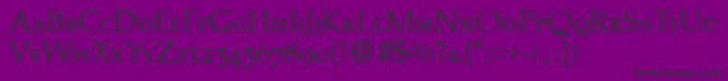 PalinocapsdbNormal Font – Black Fonts on Purple Background