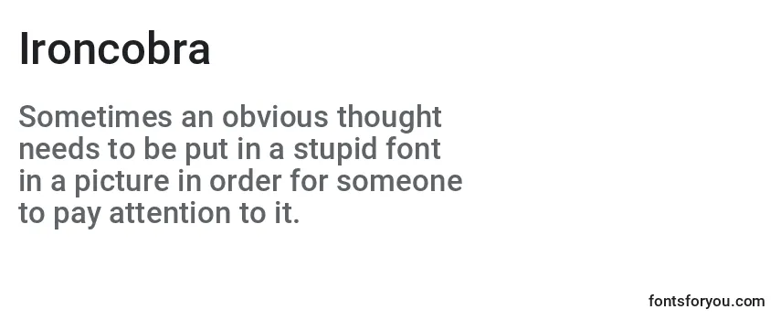 Review of the Ironcobra Font
