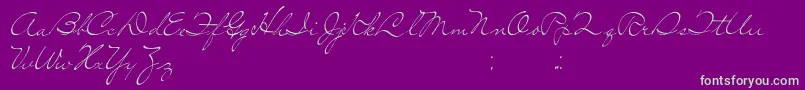 SoLonely Font – Green Fonts on Purple Background