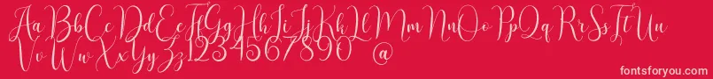 AsyielaDemo-Schriftart – Rosa Schriften auf rotem Hintergrund