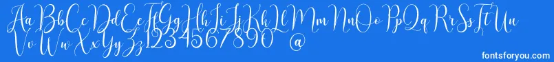 AsyielaDemo Font – White Fonts on Blue Background