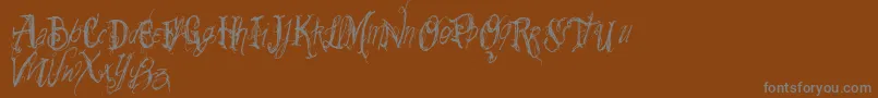 Vtks Summerland Font – Gray Fonts on Brown Background