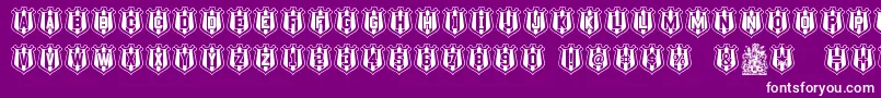 NufcSheild Font – White Fonts on Purple Background