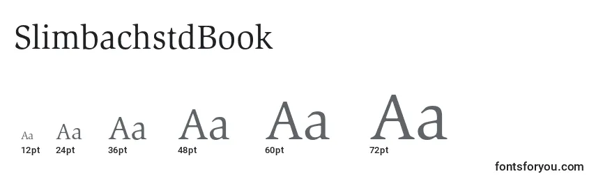 Размеры шрифта SlimbachstdBook