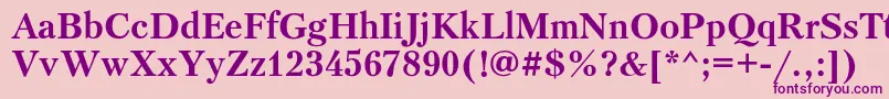 PetersburgcBold Font – Purple Fonts on Pink Background