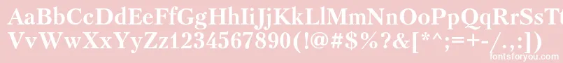 PetersburgcBold Font – White Fonts on Pink Background