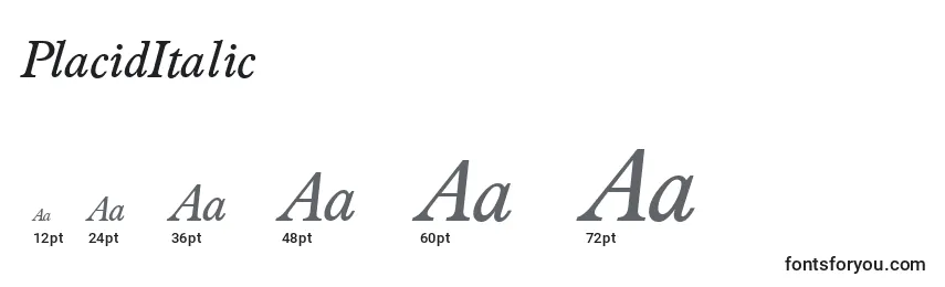 Размеры шрифта PlacidItalic