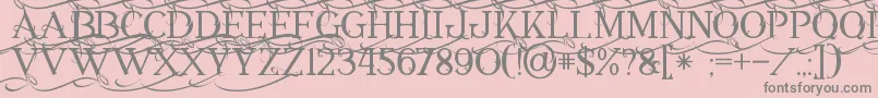 Annabel1 Font – Gray Fonts on Pink Background