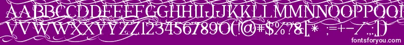 Annabel1 Font – White Fonts on Purple Background