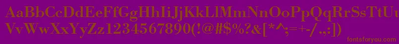 Urwbodonitmedwid Font – Brown Fonts on Purple Background