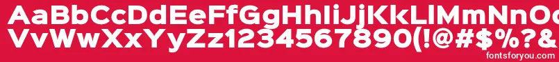 フォントSinkinsans900xblack – 赤い背景に白い文字
