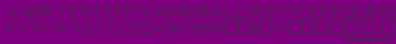 Queenelizabeth Font – Black Fonts on Purple Background