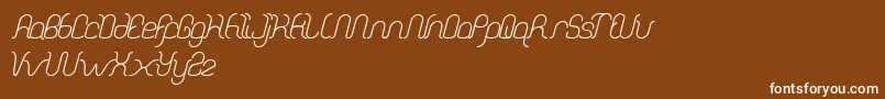 DolphinOceanWave Font – White Fonts on Brown Background