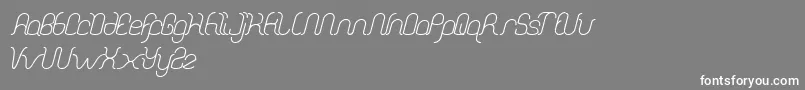 DolphinOceanWave Font – White Fonts on Gray Background