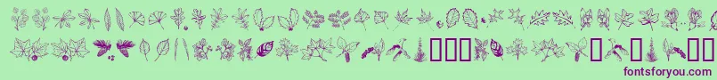 Arbof Font – Purple Fonts on Green Background