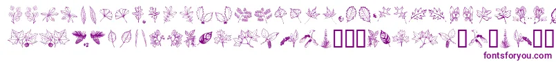 Arbof Font – Purple Fonts