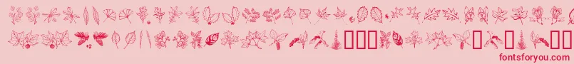 Arbof-Schriftart – Rote Schriften auf rosa Hintergrund