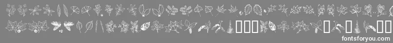 Arbof Font – White Fonts on Gray Background