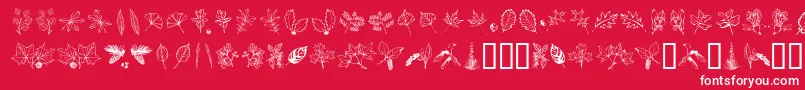 fuente Arbof – Fuentes Blancas Sobre Fondo Rojo
