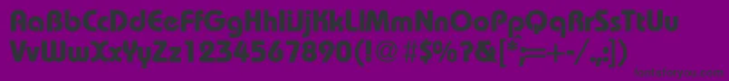 RoundhouseheavyRegularDb Font – Black Fonts on Purple Background