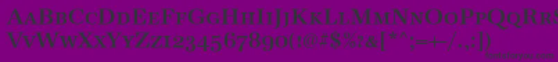 AntiquaCapsBold Font – Black Fonts on Purple Background