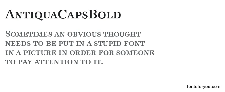AntiquaCapsBold Font