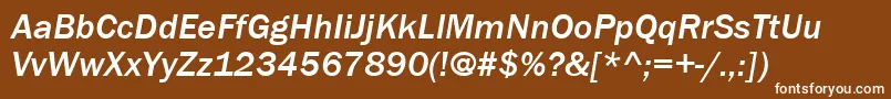 ItcFranklinGothicLtMediumItalic Font – White Fonts on Brown Background