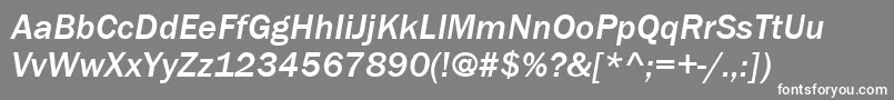 ItcFranklinGothicLtMediumItalic Font – White Fonts on Gray Background