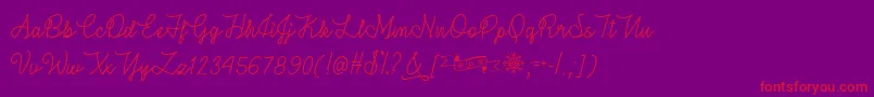 WinterInJanuaryOtf Font – Red Fonts on Purple Background