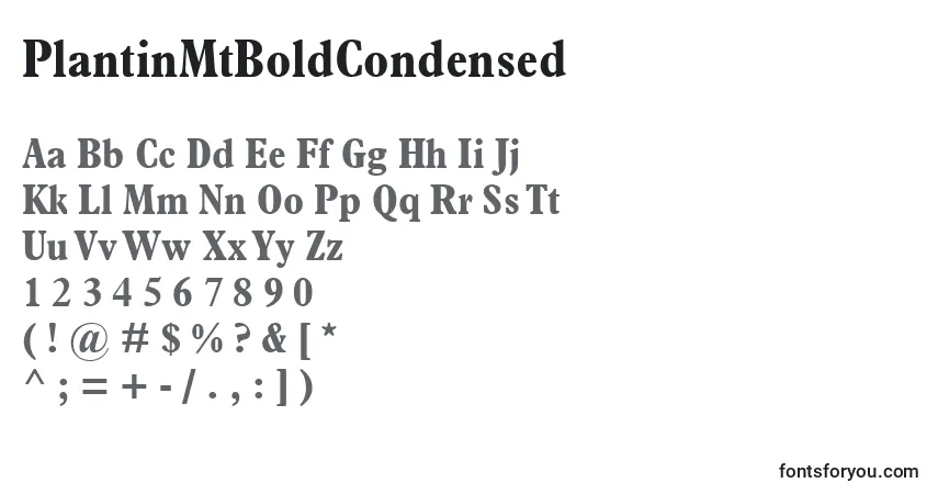 Czcionka PlantinMtBoldCondensed – alfabet, cyfry, specjalne znaki