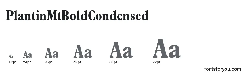 PlantinMtBoldCondensed Font Sizes