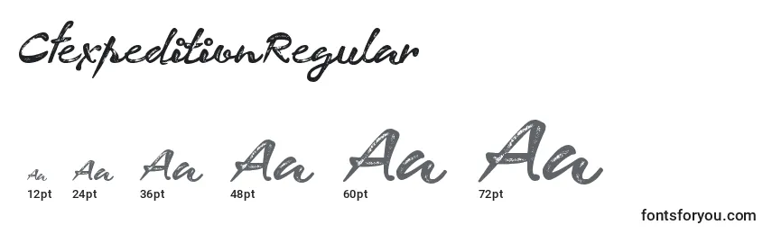 CfexpeditionRegular Font Sizes