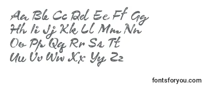 Review of the CfexpeditionRegular Font