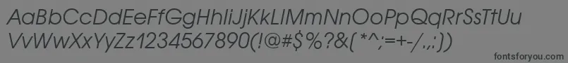 フォントAvignonItalic – 黒い文字の灰色の背景