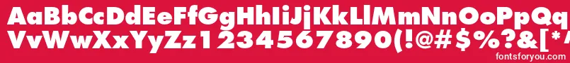 FuturastdExtrabold Font – White Fonts on Red Background