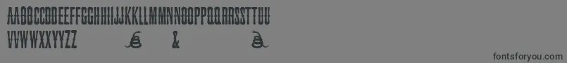 Lisätietoja SnakebiteSaloon-fontista SnakebiteSaloon-fontti – mustat fontit harmaalla taustalla