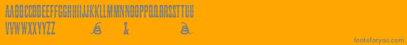 SnakebiteSaloon Font – Gray Fonts on Orange Background