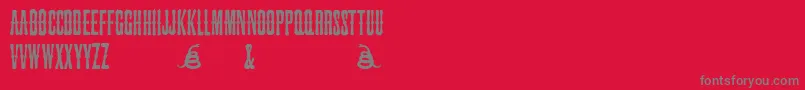 SnakebiteSaloon Font – Gray Fonts on Red Background