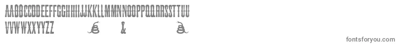 フォントSnakebiteSaloon – 白い背景に灰色の文字