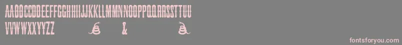 SnakebiteSaloon-Schriftart – Rosa Schriften auf grauem Hintergrund