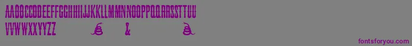 SnakebiteSaloon Font – Purple Fonts on Gray Background