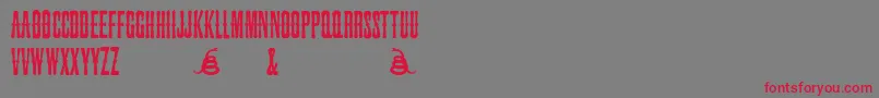 fuente SnakebiteSaloon – Fuentes Rojas Sobre Fondo Gris