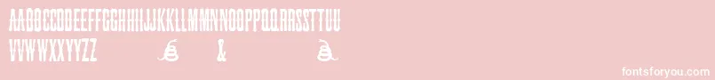 フォントSnakebiteSaloon – ピンクの背景に白い文字