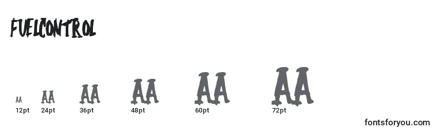 Fuelcontrol Font Sizes