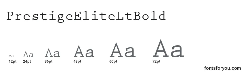 PrestigeEliteLtBold Font Sizes